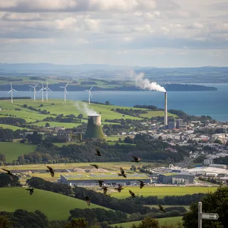 Dunedin landscape with green rolling hills and a few scattered trees under a partly cloudy sky.