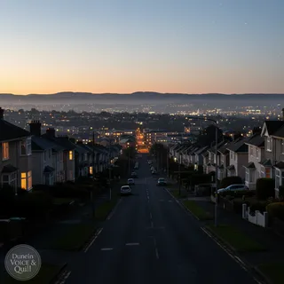 Streetlights out in Dunedin suburbs due to a remote switching system fault.