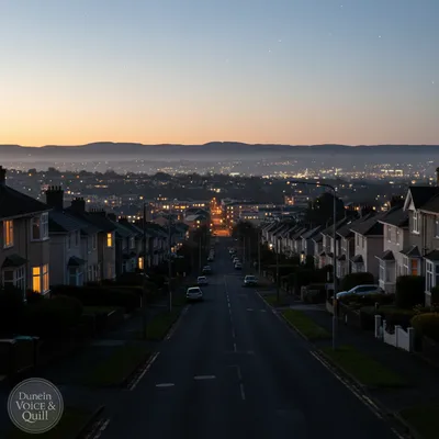 Streetlights out in Dunedin suburbs due to a remote switching system fault.